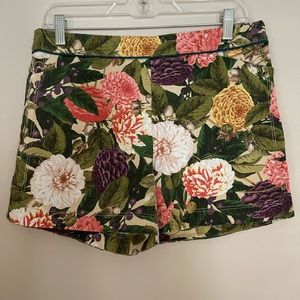 Elevenses size 8 high waisted shorts